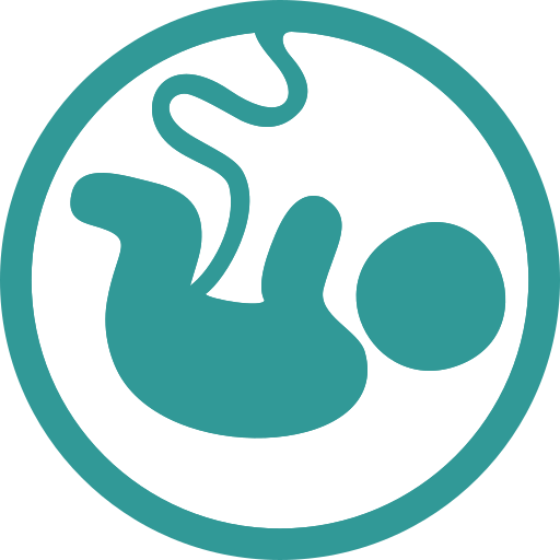 375264_baby_fetus_pregnancy_icon